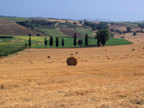 Campi umbri durante la mietitura.