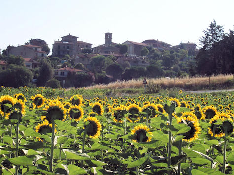 Pietrafitta, het mooie dorp waar il Piccolo Noce zich bevind.