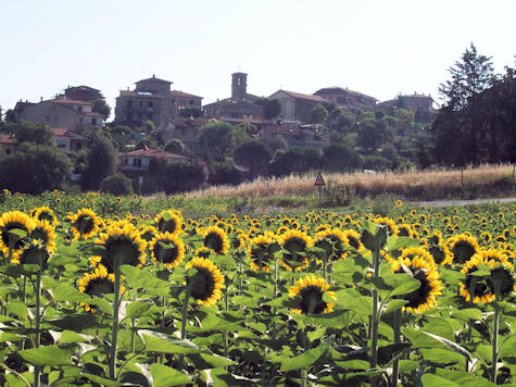 Pietrafitta, das Dorf, in dem sich unser Erholungsort befindet