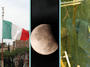 Tra gli appuntamenti del 2011 i festeggiamenti per i 150 anni dell'Unità d'Italia, l'eclissi di luna e i campionati mondiali di pesca sportiva (foto tratte da Wikipedia.org)