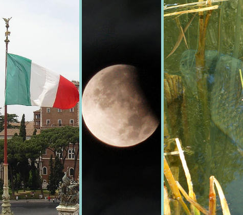 Tra gli appuntamenti del 2011 i festeggiamenti per i 150 anni dell'Unità d'Italia, l'eclissi di luna e i campionati mondiali di pesca sportiva (foto tratte da Wikipedia.org)