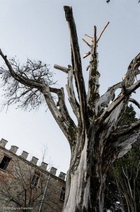  Un suggestivo angolo del Castello di Cibottola 