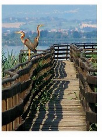  Una suggestiva immagine dell'Oasi Naturalistica La Valle