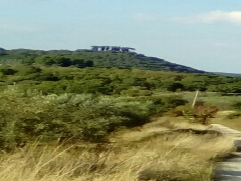  Landschaft 