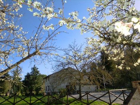  Voglia di primavera 