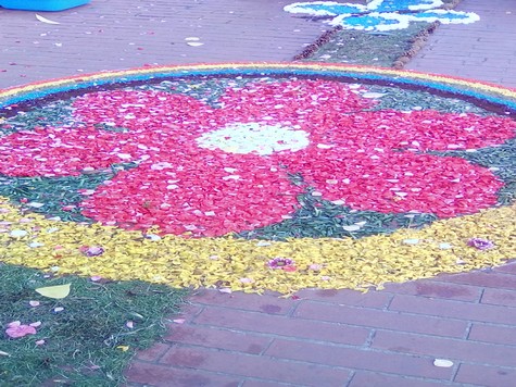  Un'immagine dell'Infiorata 2017 