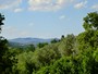 Le nostri dolci colline